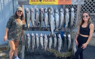 Seahawk Fishing Charters in Michigan: Navigating the Great Lakes for a Reel Adventure