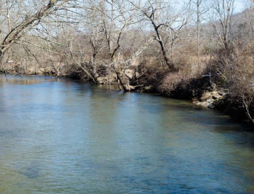 Unlocking the Riches of the St. Joseph River System: A Fishing Paradise